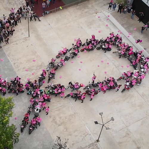 Los Chalecos Rosas